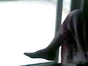 इन समुद्री मील सब कुछ के लिए तैयार हैं!!!  हिंदी में सेक्सी फिल्म चाहिए