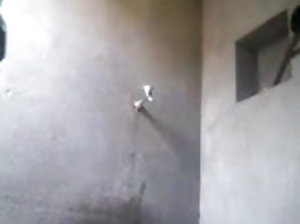 भाजित काले बाल वाली बट के लिए दो  मोम सेक्स डॉट कॉम