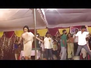 पांडा भालू लाल टोपी  हिनदी सेकस विडीयो